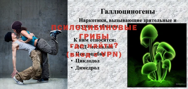 apvp Алзамай