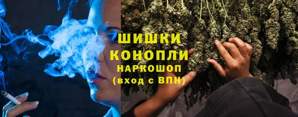 ГАЛЛЮЦИНОГЕННЫЕ ГРИБЫ Абаза