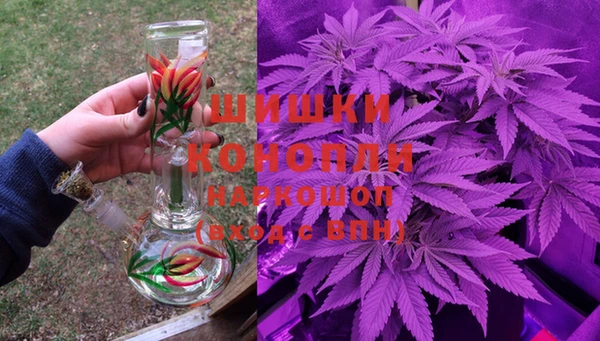 apvp Алзамай