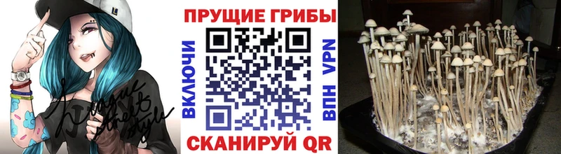 Галлюциногенные грибы Magic Shrooms  KRAKEN как войти  Сорочинск 